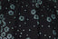 Myosotis (MI)