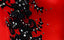 Noir/ Rouge (WM)